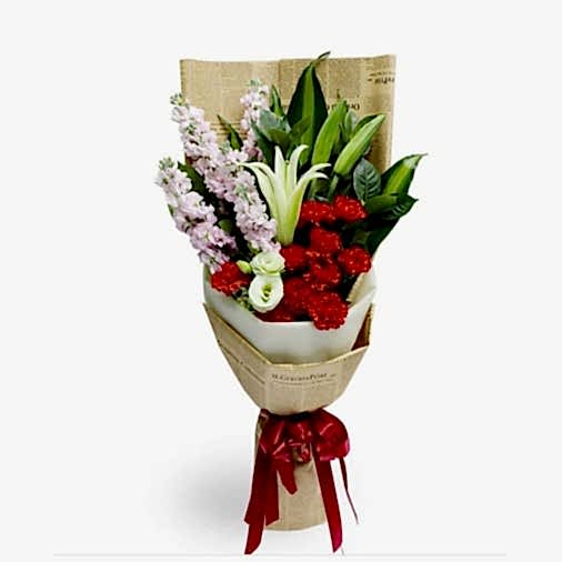 11 Red Carnations with 6 Lilies