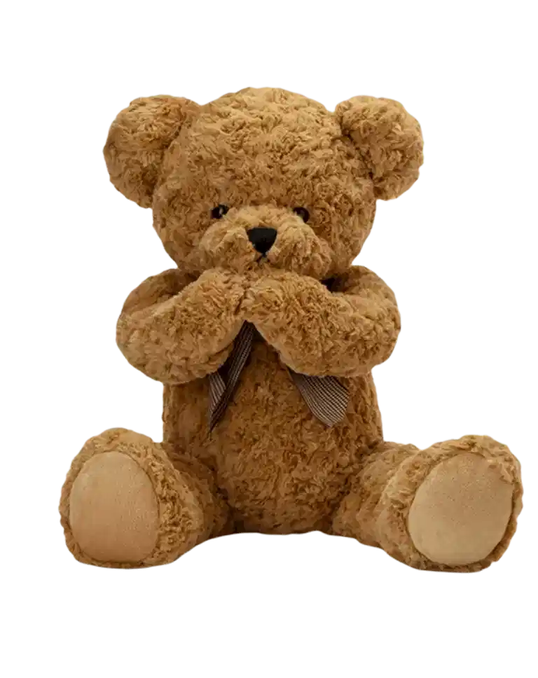 Shy Teddy Bear Toy - Light Browna