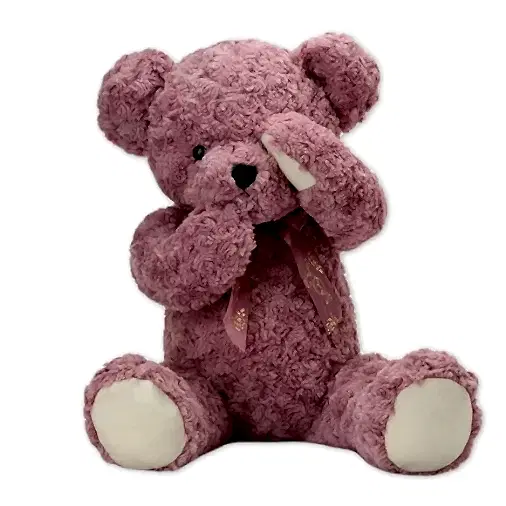 Shy Teddy Bear Toy - Pink