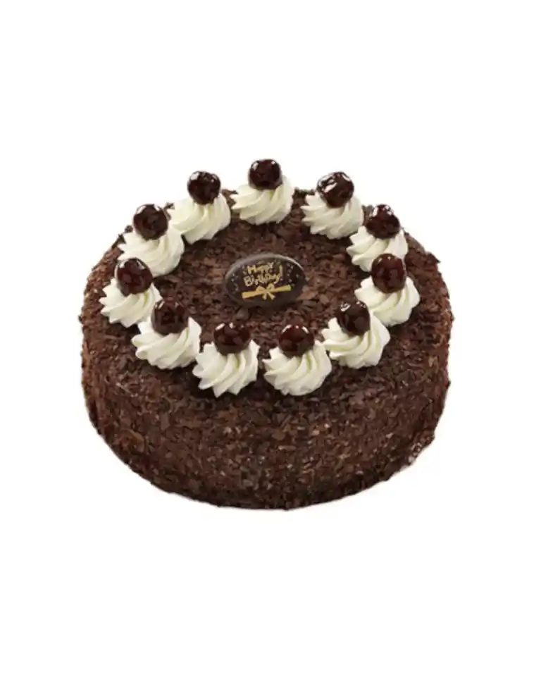 Chocolate Birthday Cakea