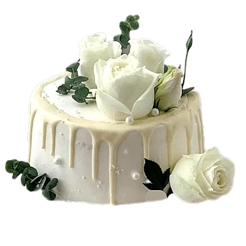Fresh Cream Birthday Cake White Rose