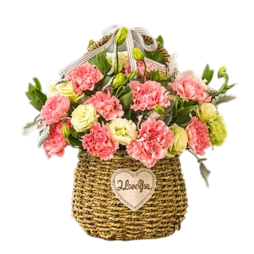 19 Pink Carnations in Basket 