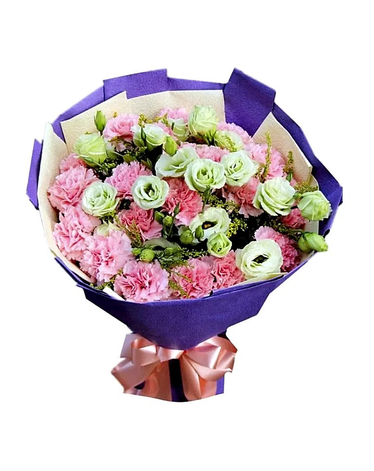 20 Pink Carnations a