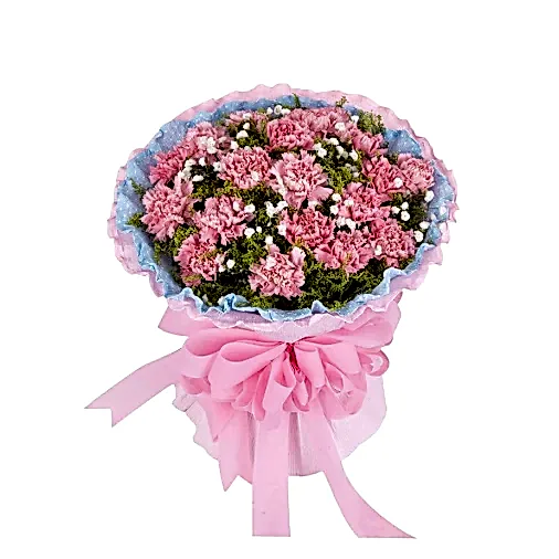 20 Pink Carnations