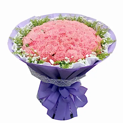 99  Pink Carnations