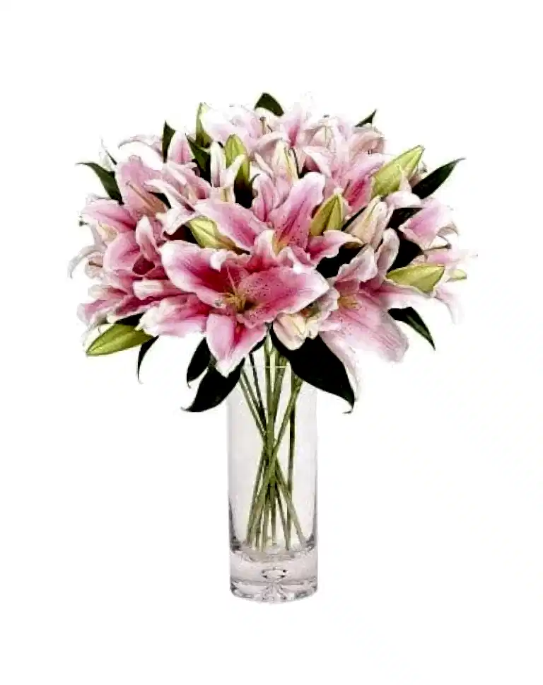 18 Pink Lilies in Glass Vasea