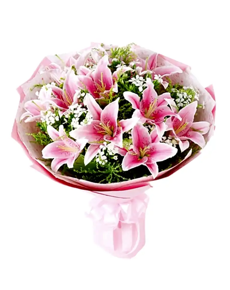 21 Pink Liliesa