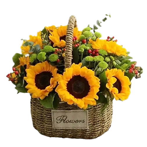 10 Sunflowers in Basket