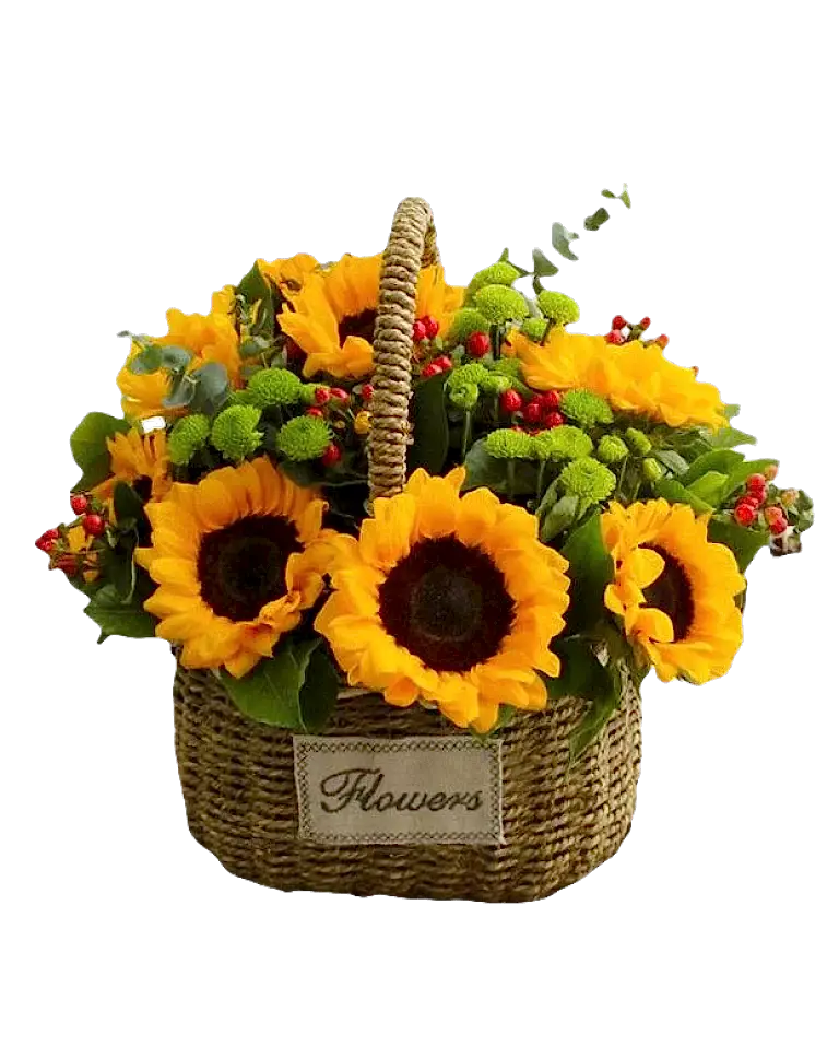 10 Sunflowers in Basketa