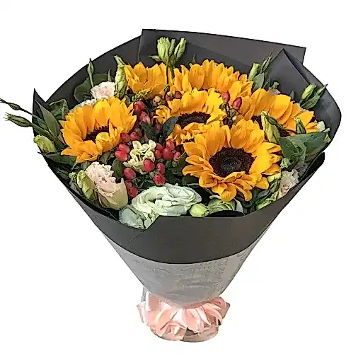 6 Sunflowers