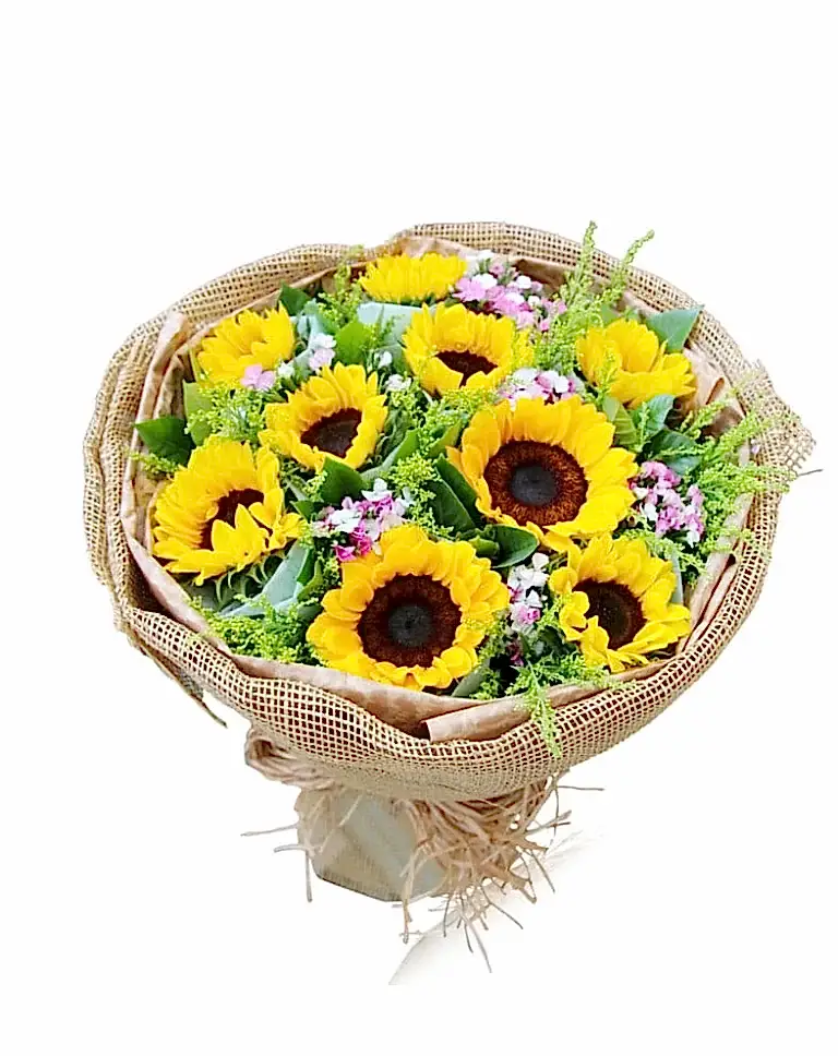 9 Sunflowersa