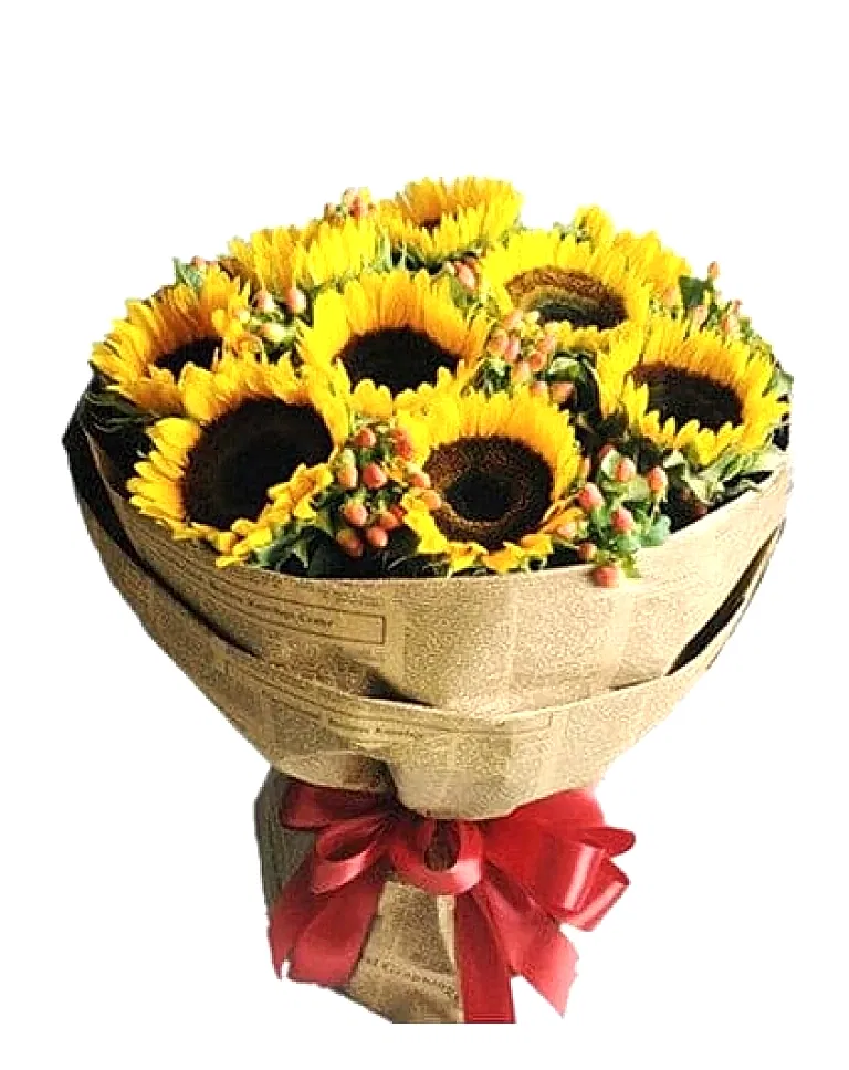 9 Sunflowersa