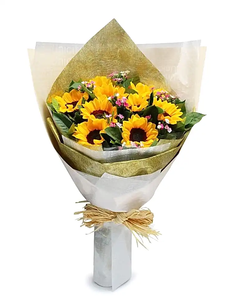 9 Sunflowersa