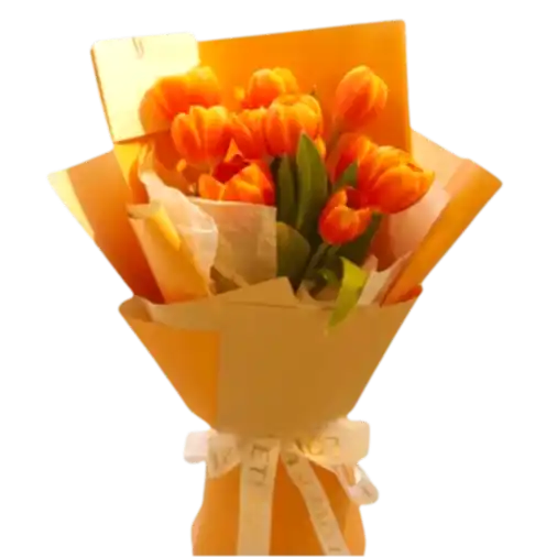 10 Orange Tulips