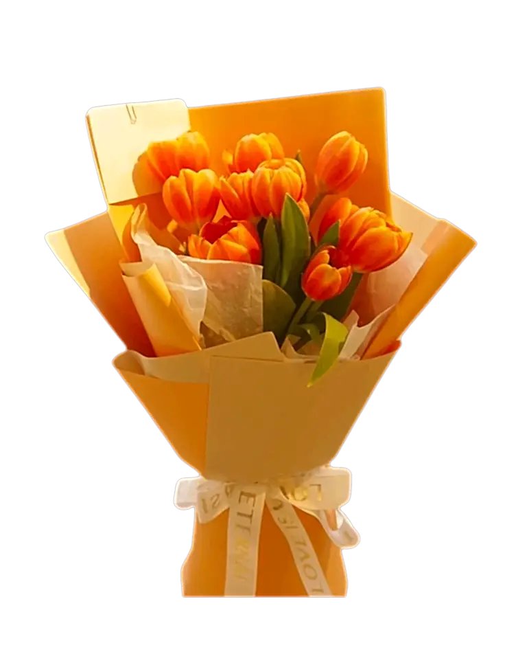10 Orange Tulipsa