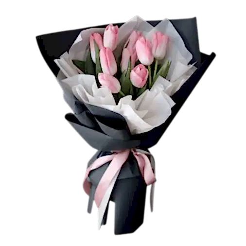 9 Pink Tulips 