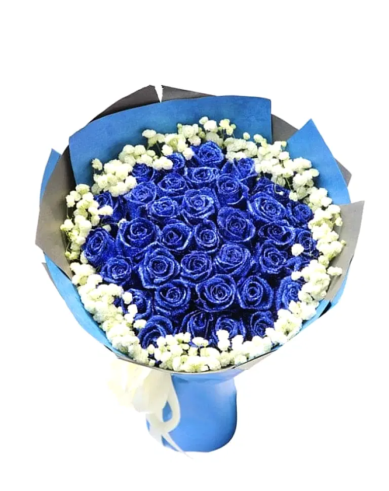 33 Blue Rosesa