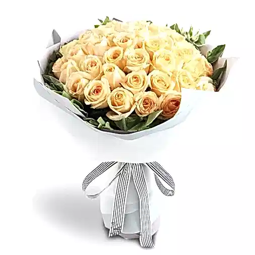 33 Champagne Roses