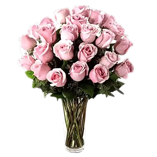 2 Dozen Pink Roses in Vase