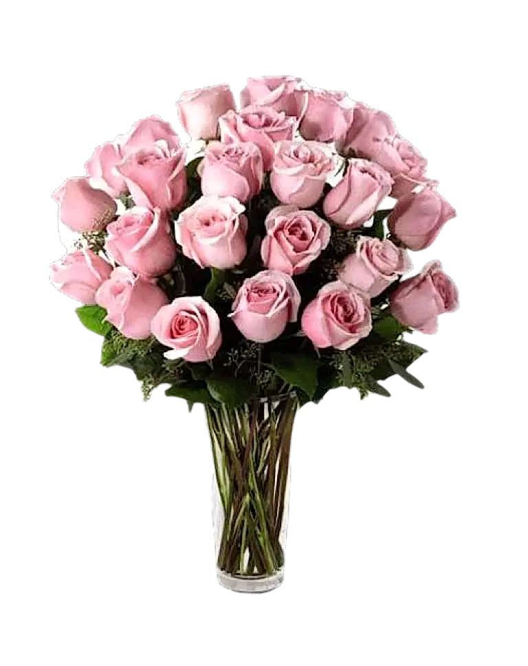 2 Dozen Pink Roses in Vasea