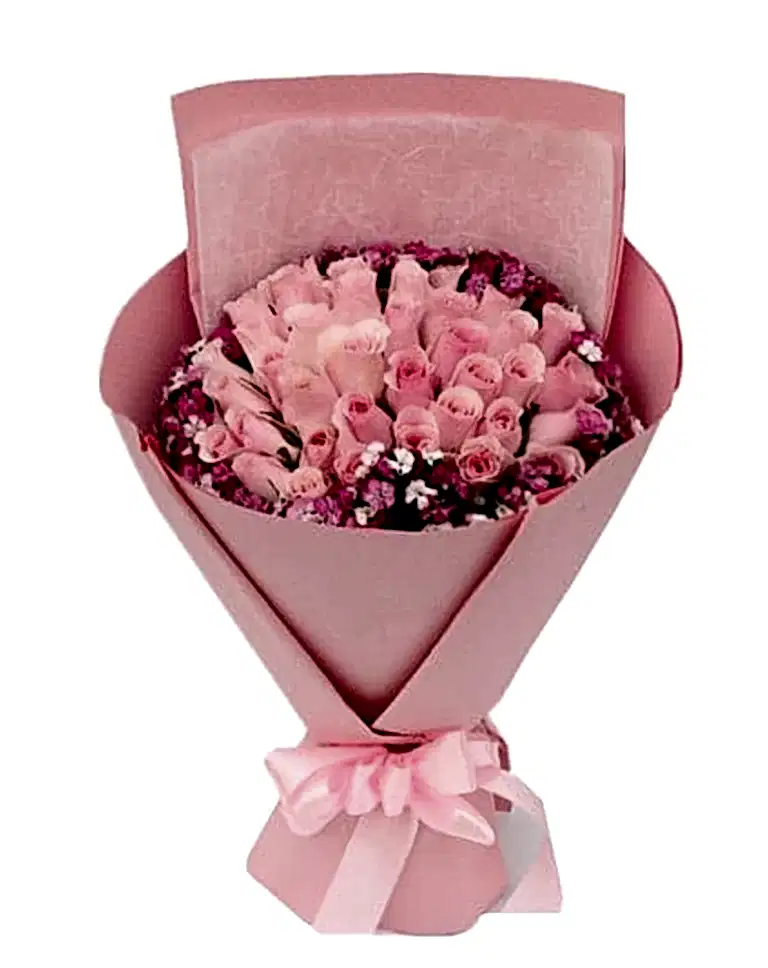 33 Pink Rosesa