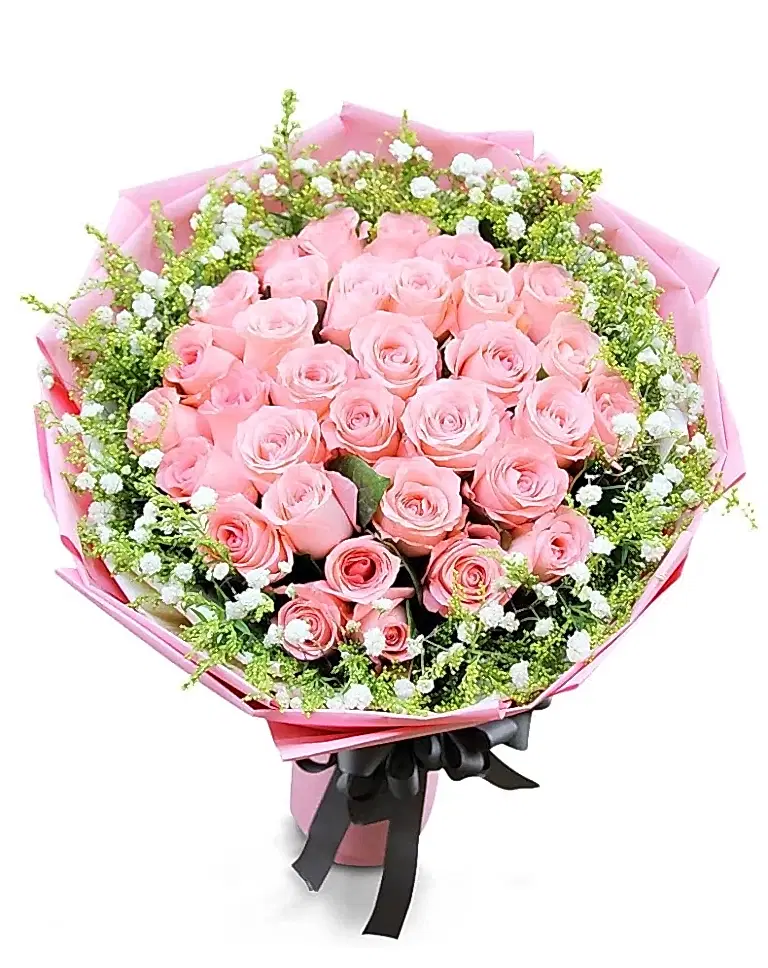 33 Pink Rosesa