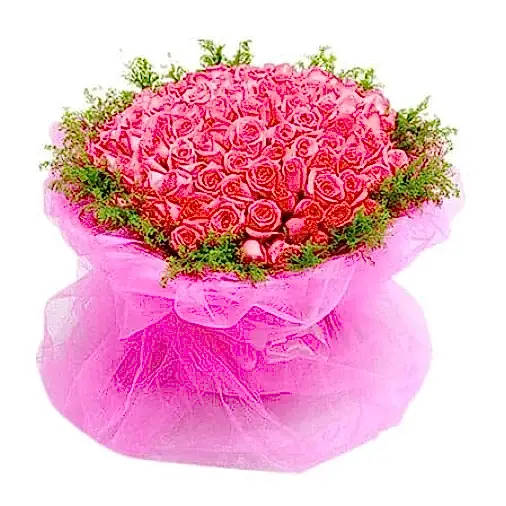 99  Pink Roses