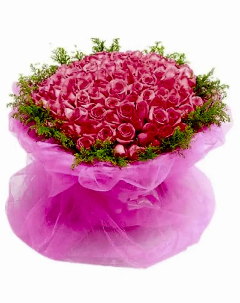 99  Pink Rosesa