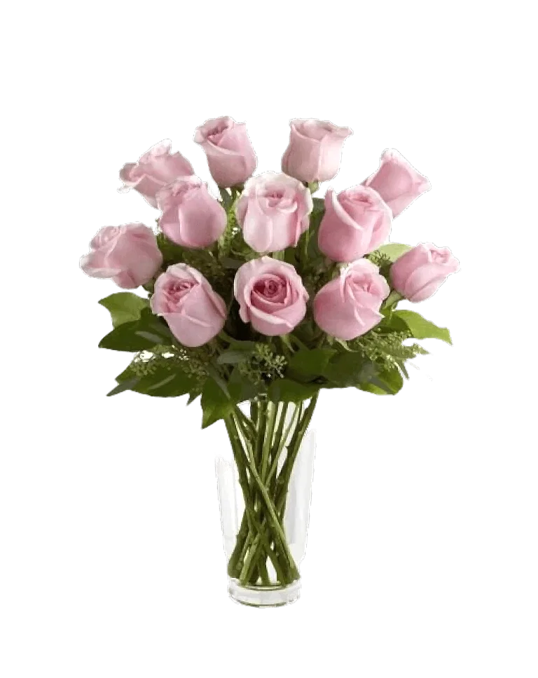 Dozen Pink Roses in Vasea