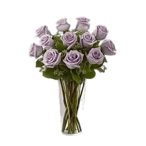 11 Purple Roses in Vase