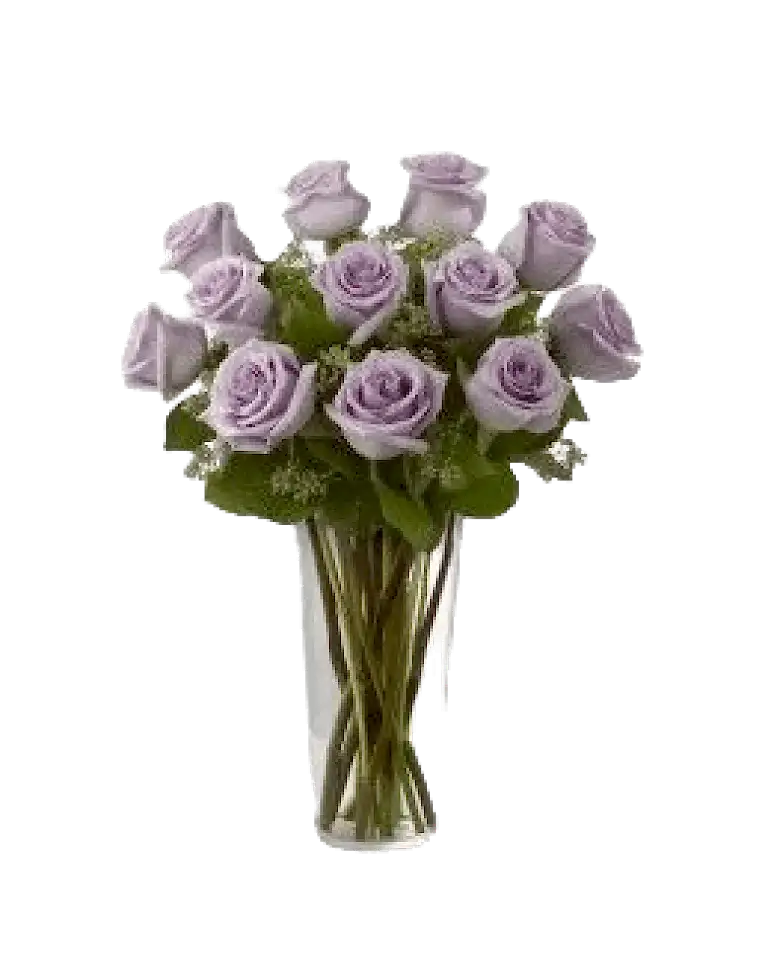 11 Purple Roses in Vasea