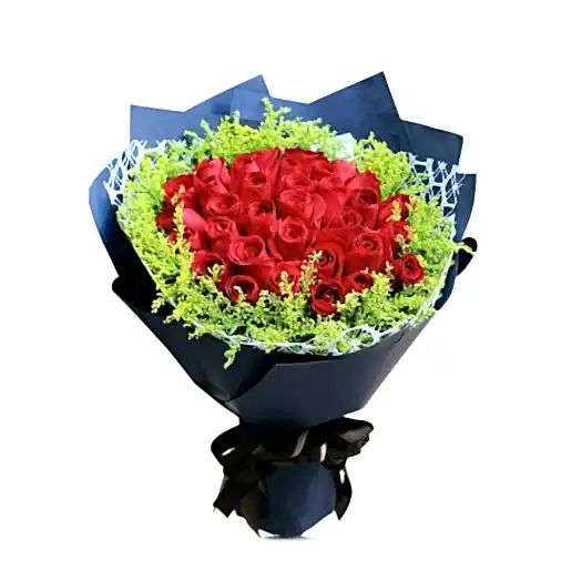 33 Red Roses