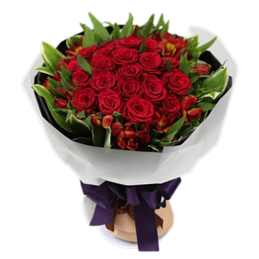 33 Red Roses