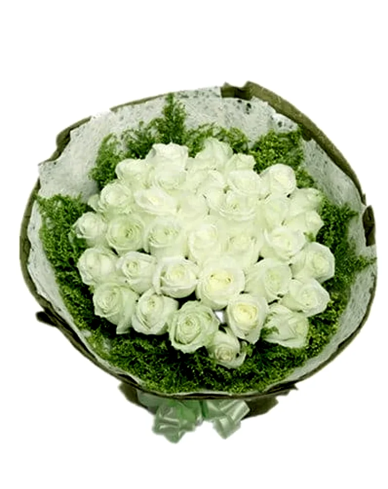 33 White Rosesa