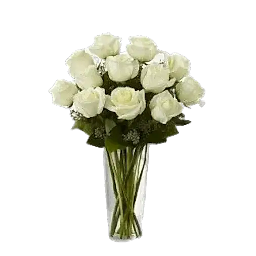 Dozen White Roses in Vase