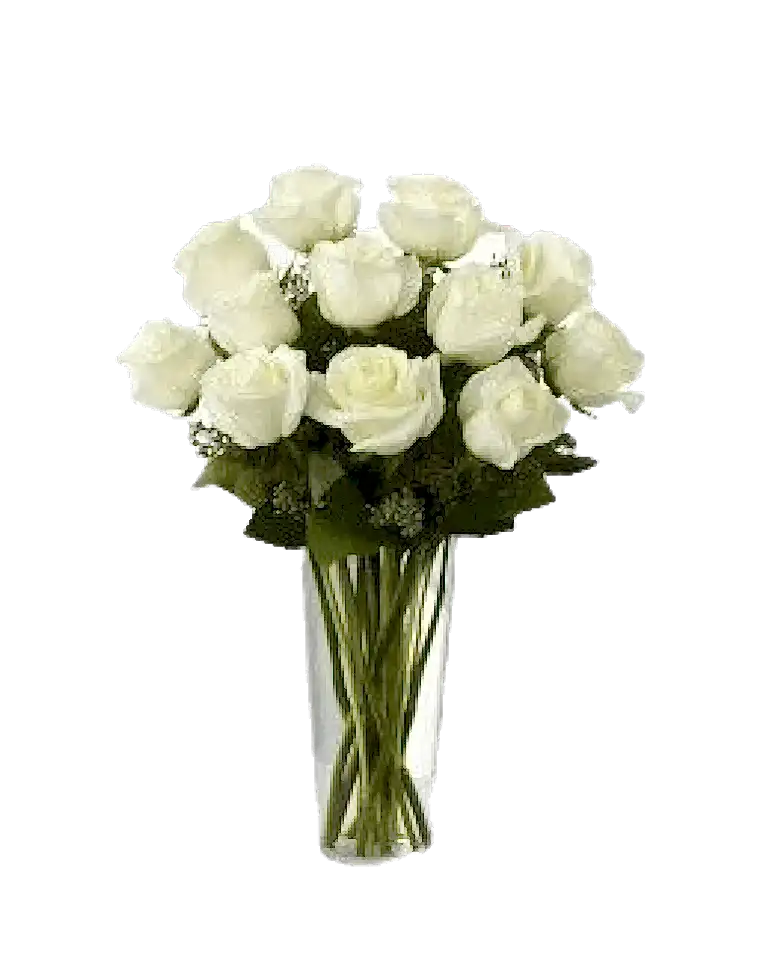 Dozen White Roses in Vasea